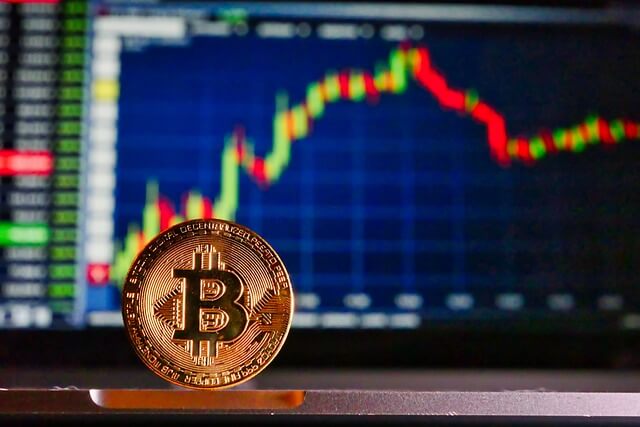 Crypto Bull Market Predicted to Peak in 2025: Insights from Pantera Capital’s CEO