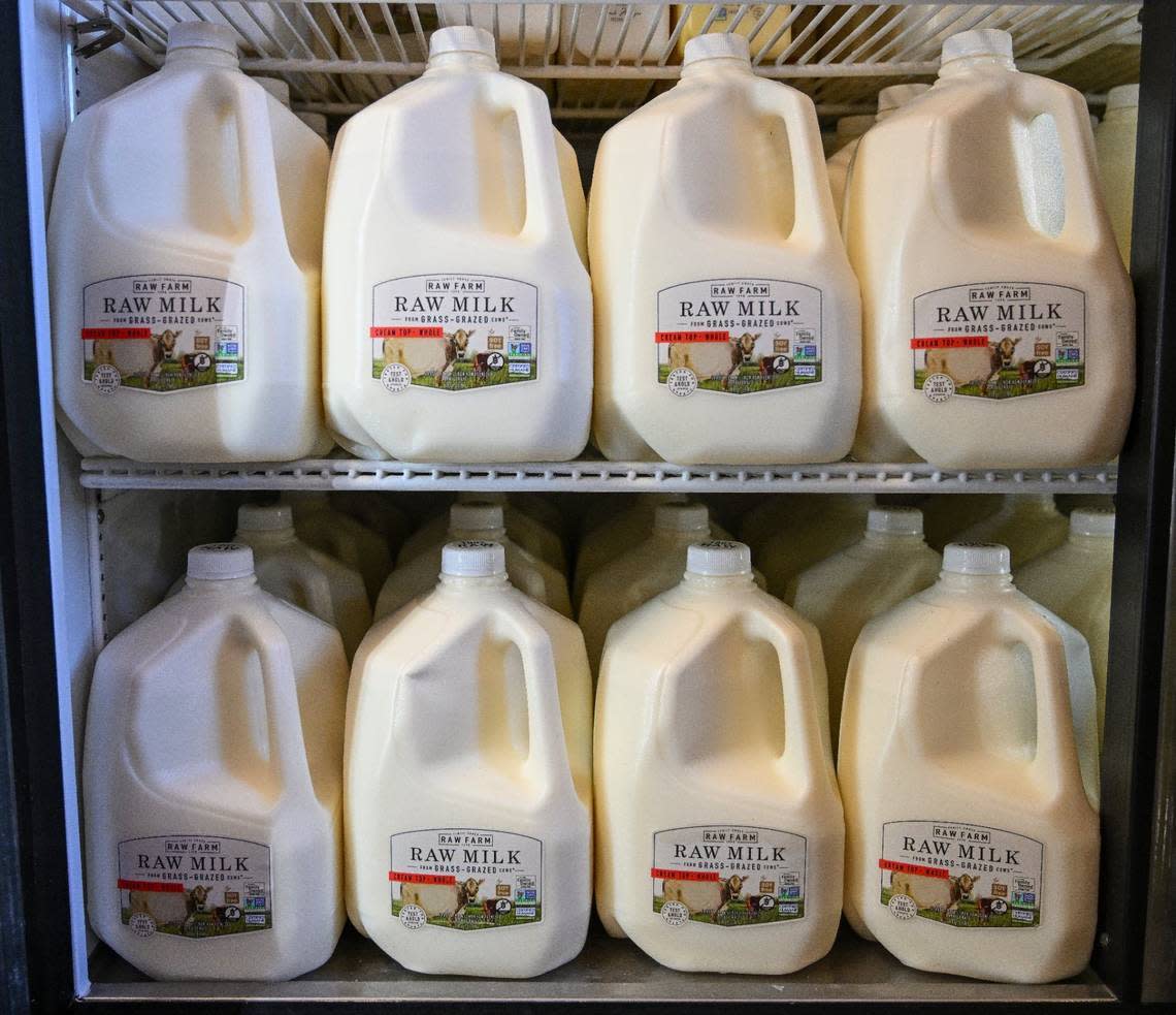 raw milk risks bird flu transmission in California
