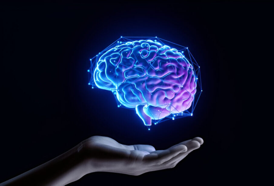 How Exercise Protects Memory When the Brain Lacks Fuel