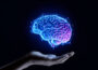 How Exercise Protects Memory When the Brain Lacks Fuel