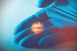 WHO briefing on H5N1 outbreak